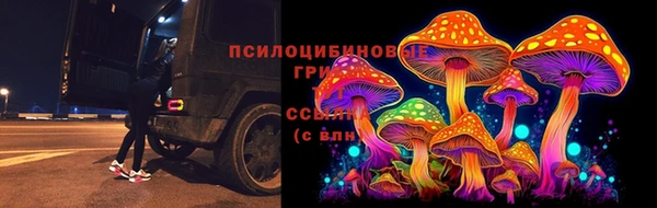 спайс Алзамай