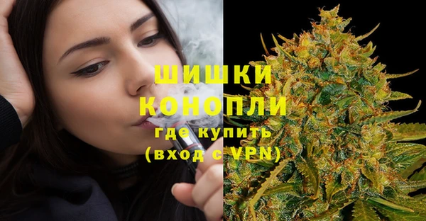 спайс Алзамай