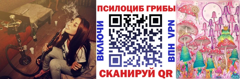 Псилоцибиновые грибы GOLDEN TEACHER  где продают   Изобильный 